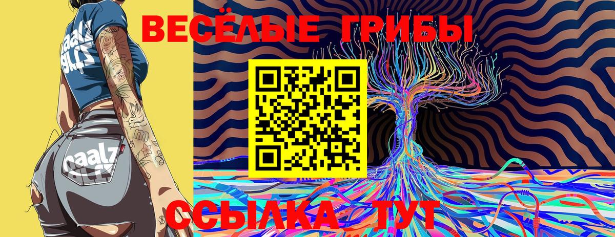 Прохладный  Галлюциногенные грибы GOLDEN TEACHER  Вход с VPN  купить наркоту  Псилоцибиновые грибы мухоморы 