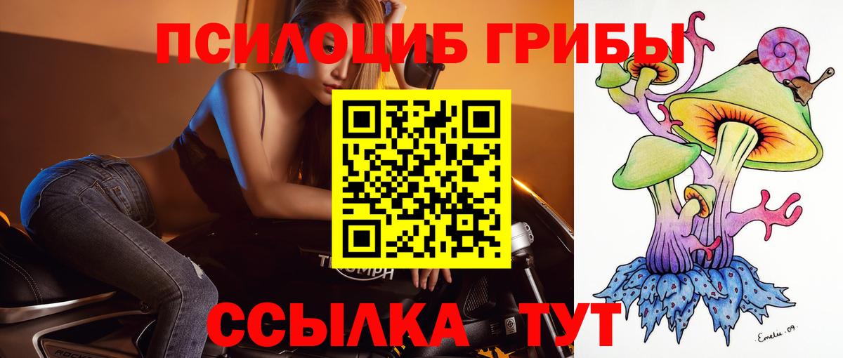 Псилоцибиновые грибы GOLDEN TEACHER Прохладный